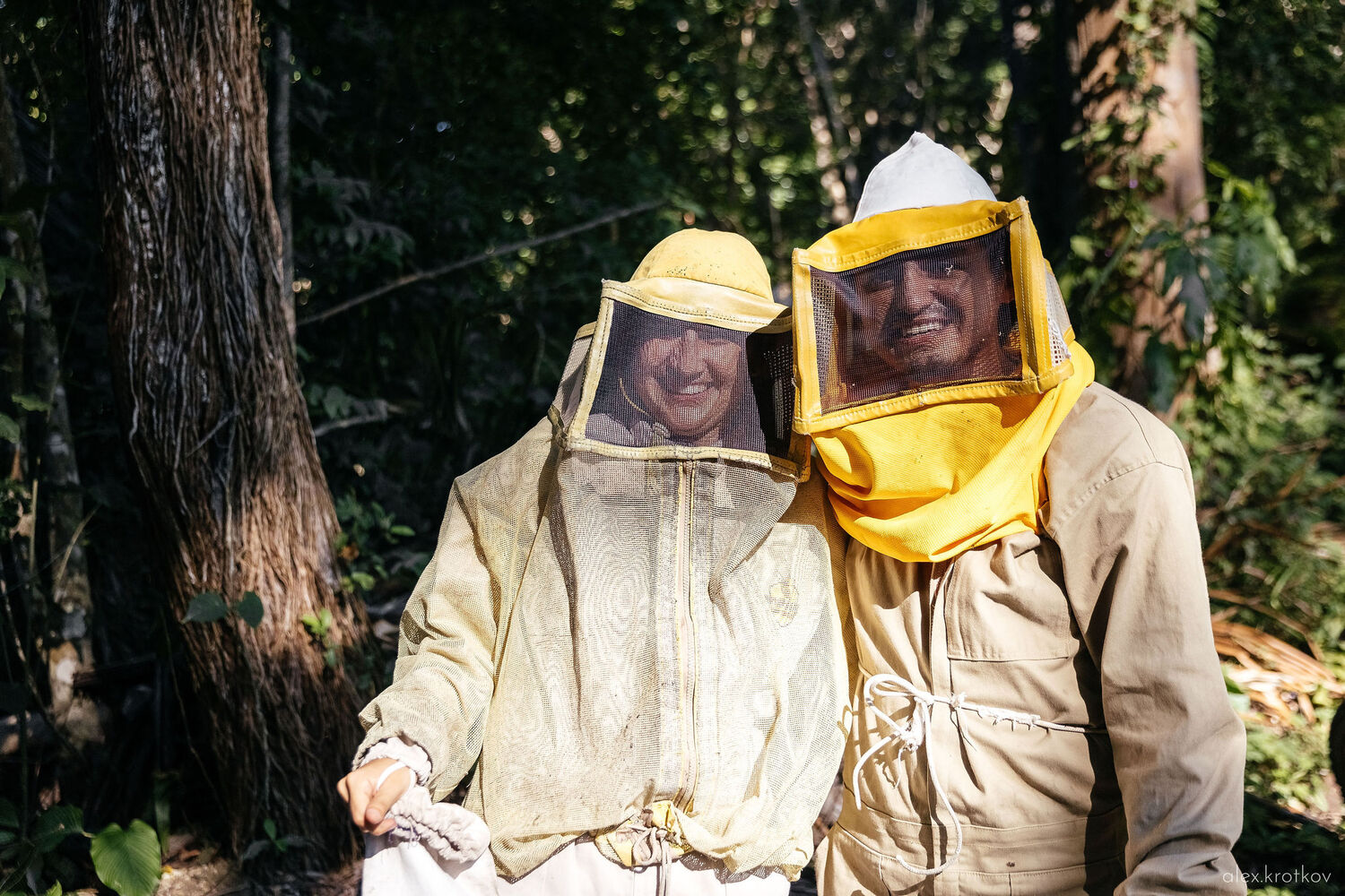 Our project Pueblo del Sol